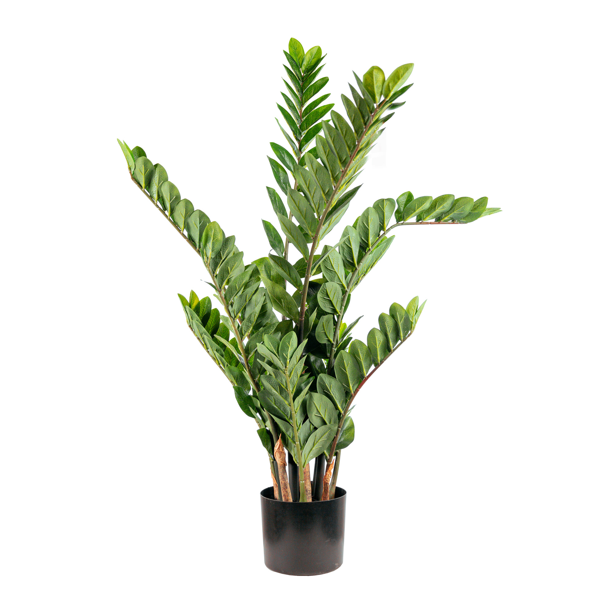 Artificial zamifolia bush 220LVS